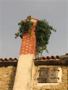 Groznjan-Grisignana