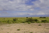 Namibia_Safari