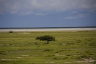 Namibia_Safari