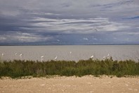 Namibia_Safari