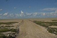 Namibia_Safari