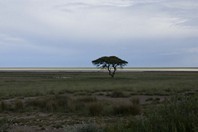 Namibia_Safari