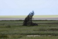 Namibia_Safari