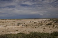 Namibia_Safari