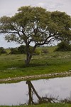 Namibia_Safari