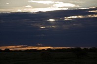 Namibia_Safari