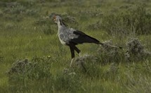 Namibia_Safari