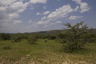 Namibia_Safari