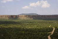 Namibia_Safari