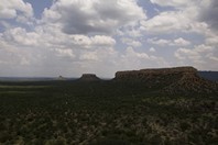 Namibia_Safari