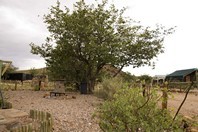 Namibia_Safari