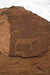 Namibia_Safari