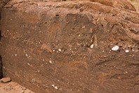Namibia_Safari