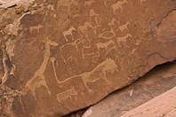 Namibia_Safari