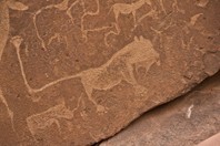 Namibia_Safari