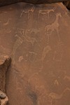 Namibia_Safari