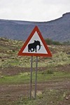 Namibia_Safari
