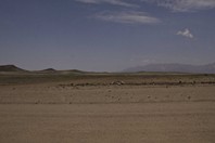 Namibia_Safari