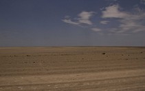 Namibia_Safari
