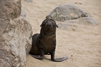 Namibia_Safari