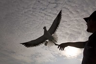Namibia_Safari