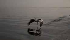 Namibia_Safari