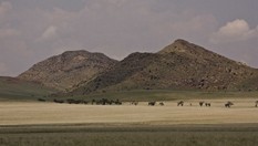 Namibia_Safari