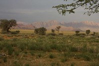 Namibia_Safari