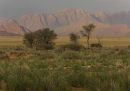 Namibia_Safari