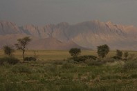 Namibia_Safari