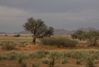 Namibia_Safari