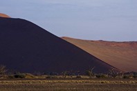 Namibia_Safari