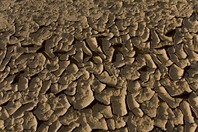 Namibia_Safari