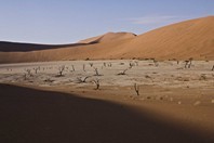 Namibia_Safari