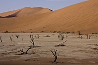 Namibia_Safari