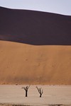 Namibia_Safari
