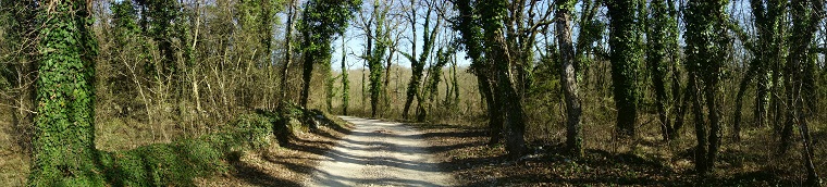 Beautiful Istria