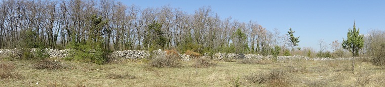 Beautiful Istria
