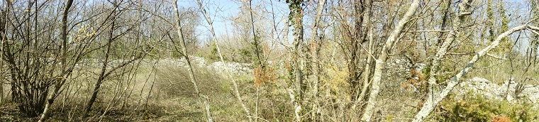 Beautiful Istria