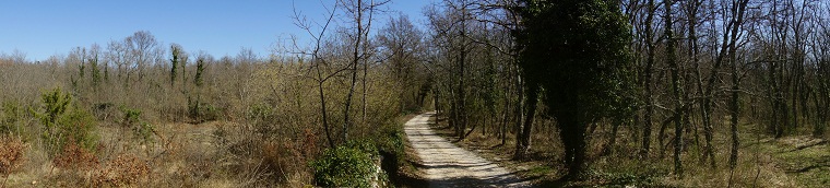 Beautiful Istria