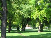 Osijek