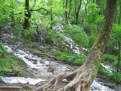 Plitvice