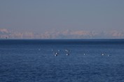 Alpe-Istra-Porec