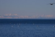 Alpe-Istra-Porec