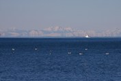 Alpe-Istra-Porec