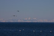 Alpe-Istra-Porec