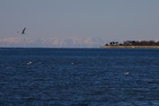Alpe-Istra-Porec