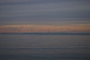 Alpe-Istra-Porec