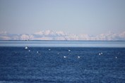 Alpe-Istra-Porec