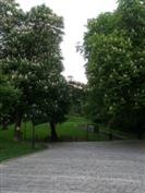 Brno